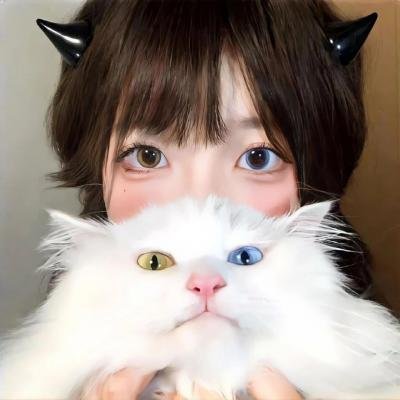 一袋锤子